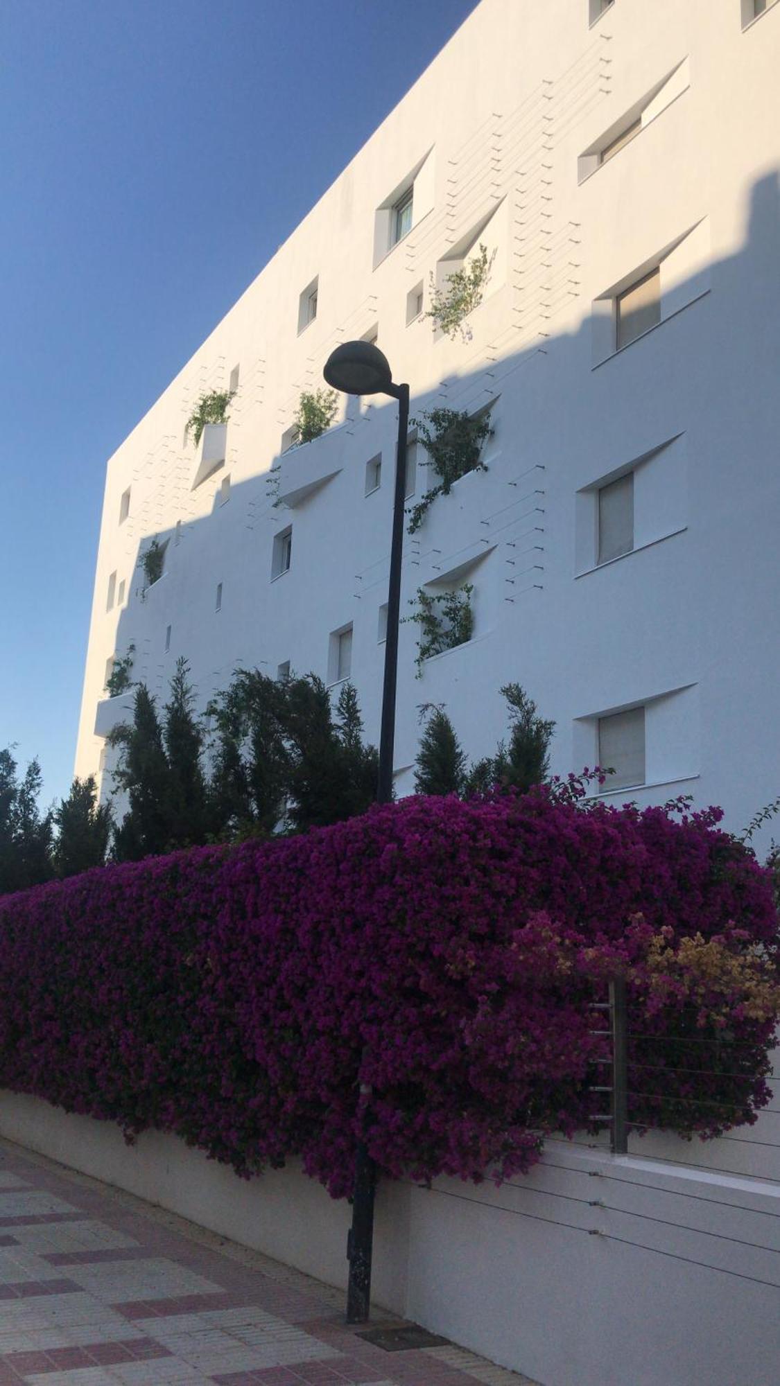 Appartamento La Maison Blanche 5* Ibiza città
